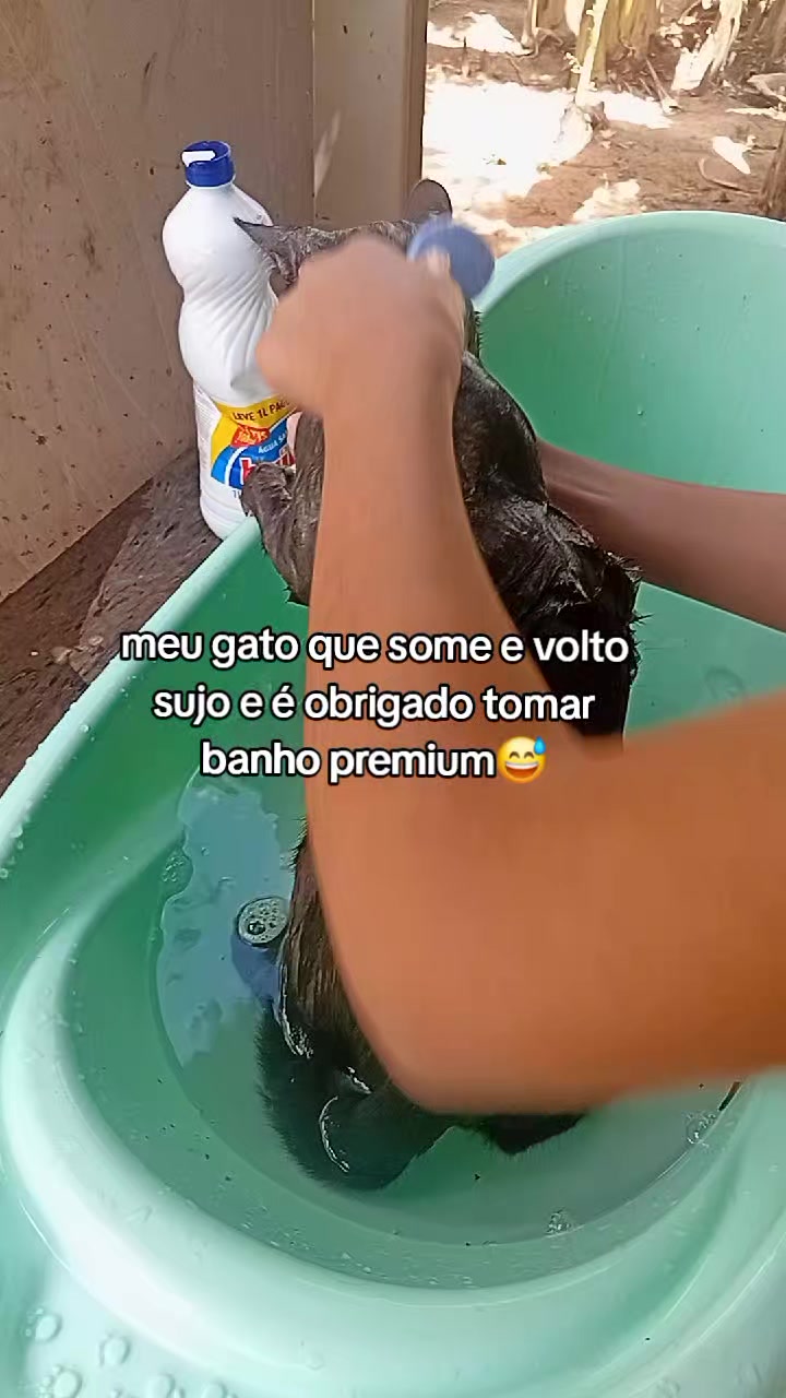 @🦋Maria Lima🌻