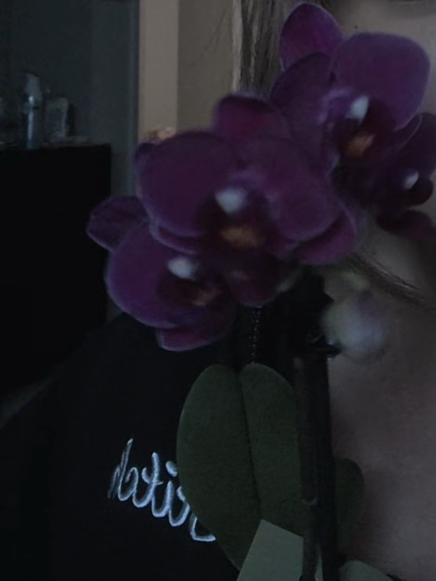 @🌸Mari blossom🌸