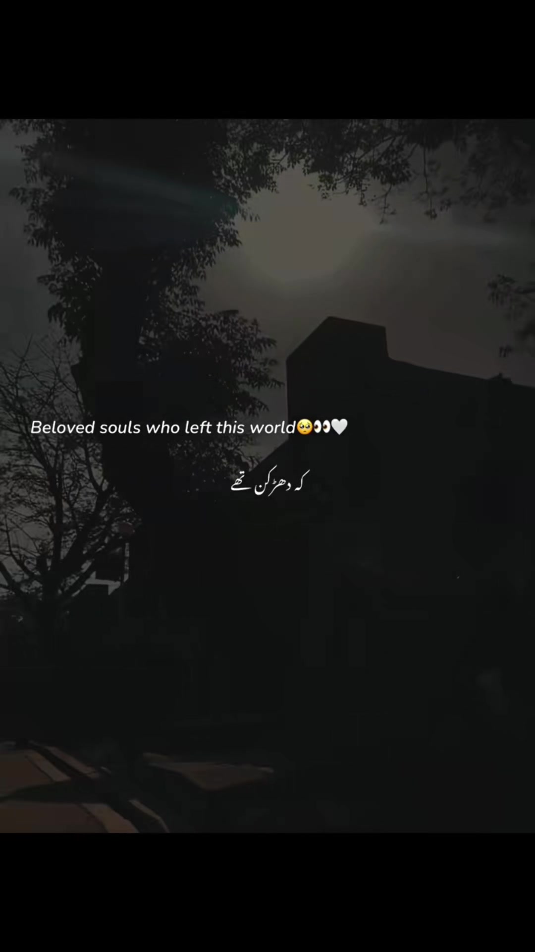 @Hamza🥀Hassni