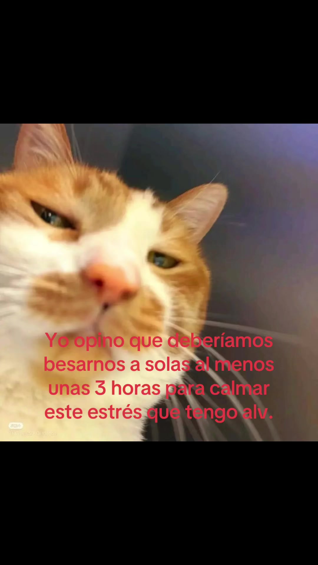 @saulburgosp2.0