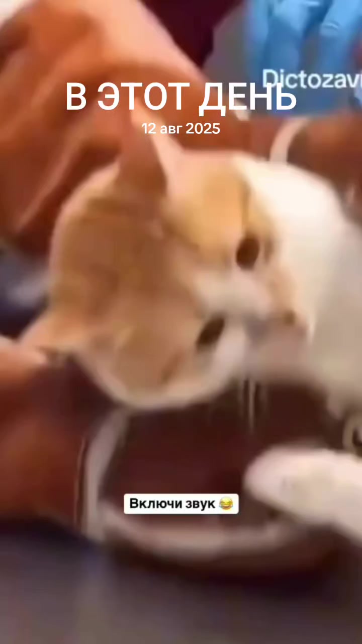 @Ahperzhan