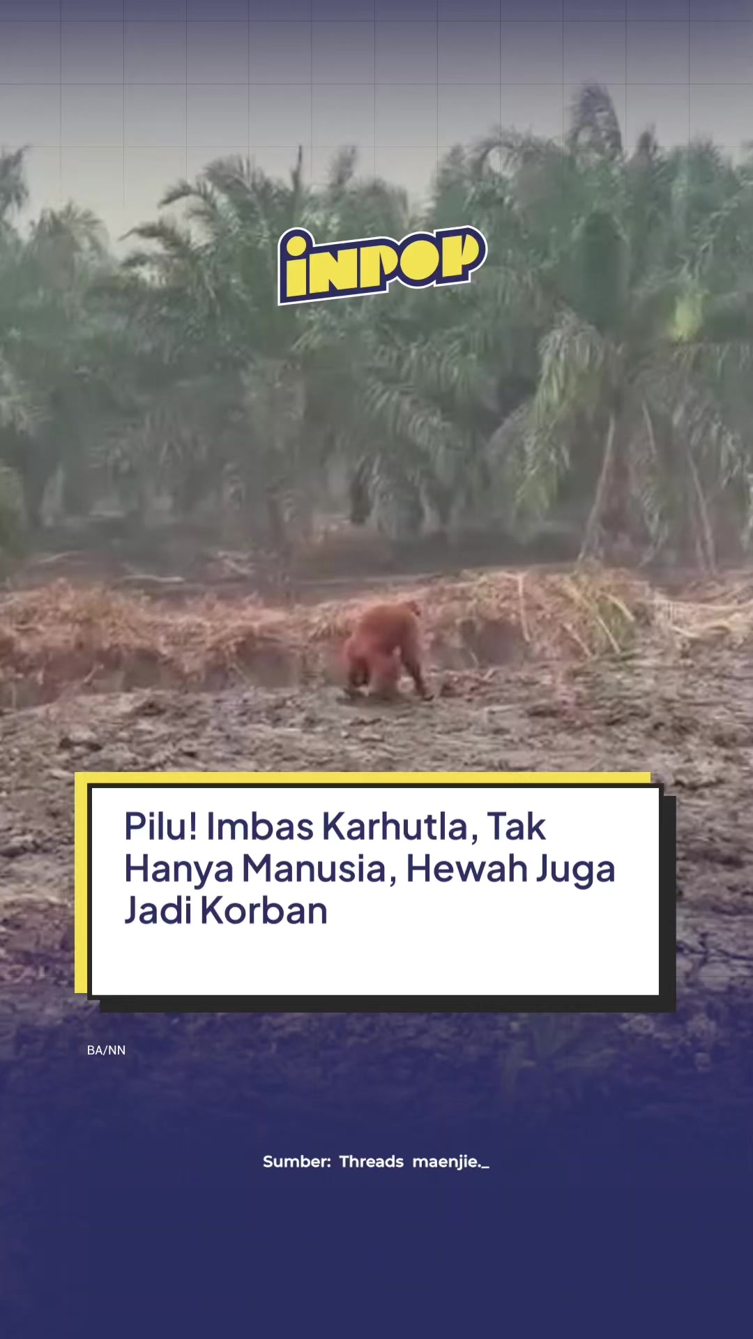 @inpopmedia