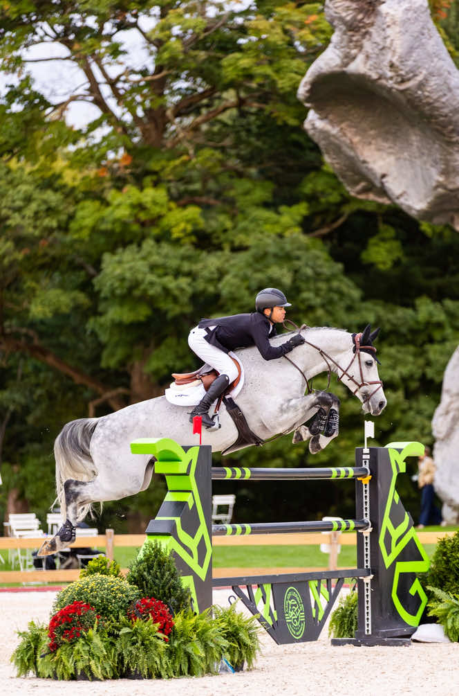 @Major League Show Jumping