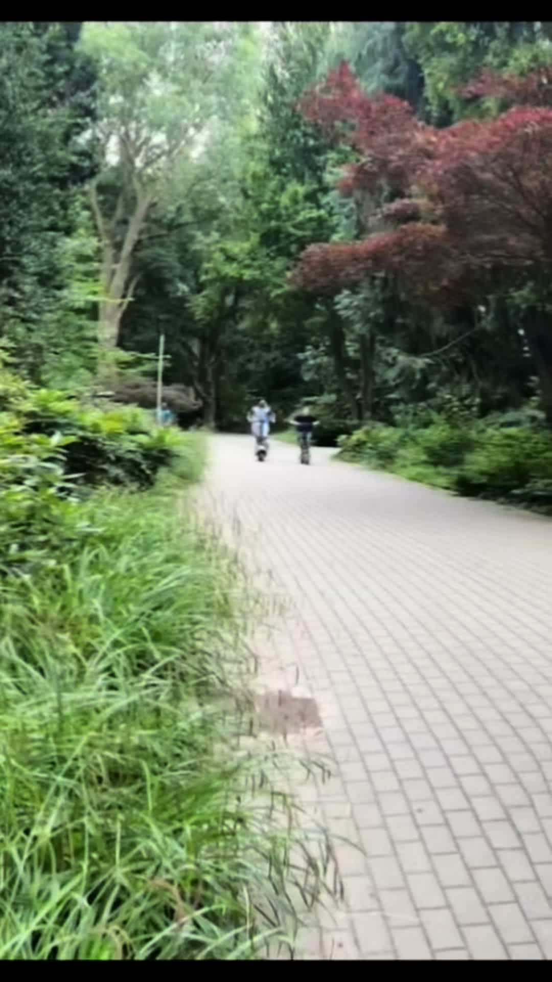 @ZT3.Pro_Beast 🚀🛴