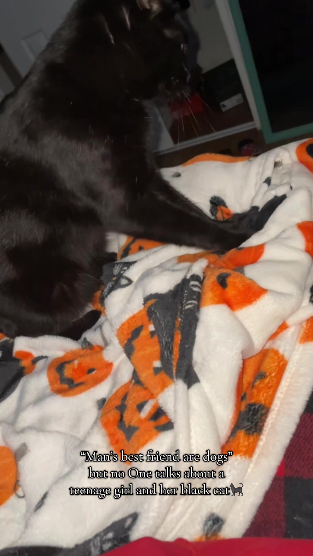 @Black_cat_beauty🐈&zwj;⬛