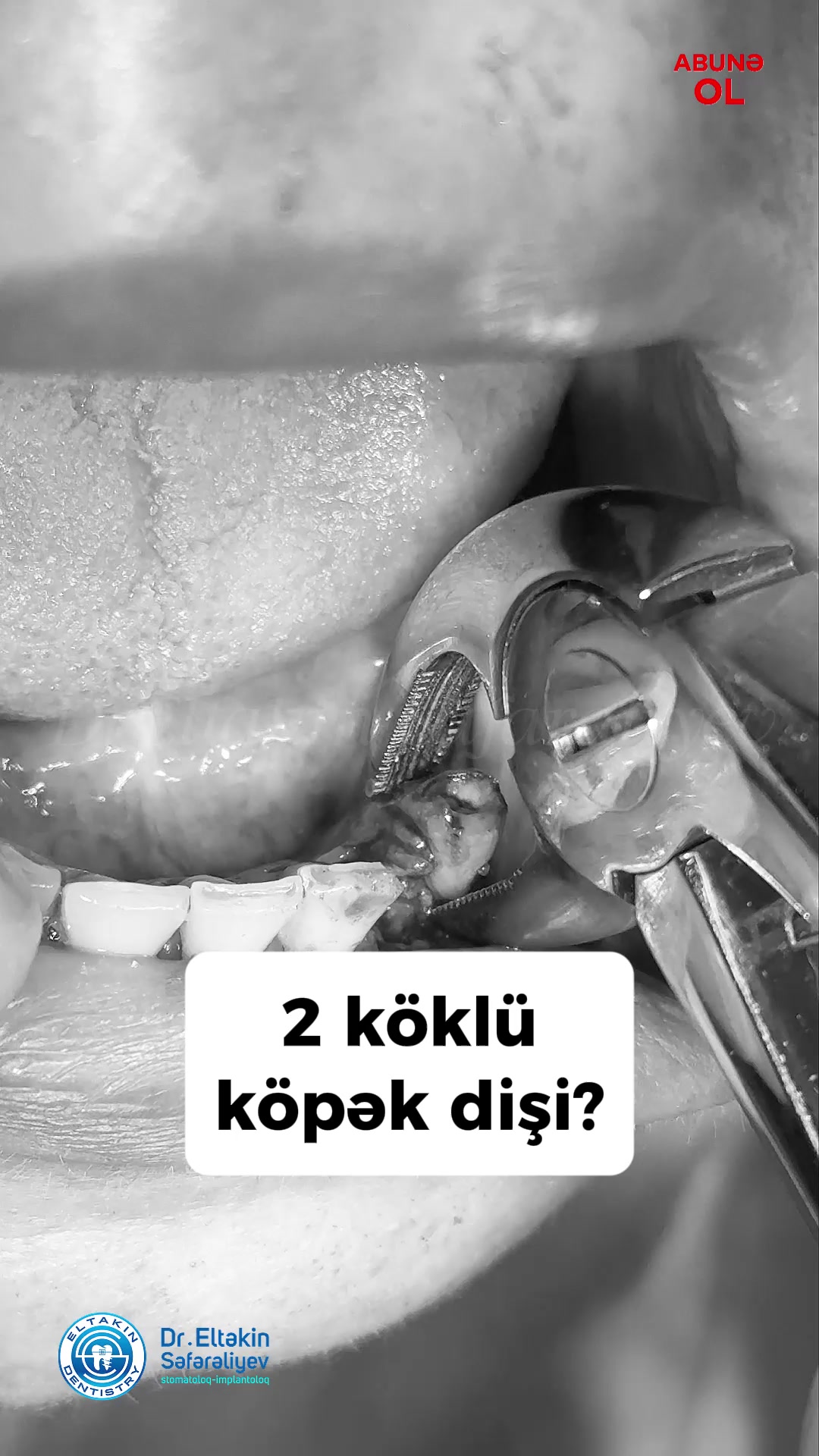 @eltakindentistry