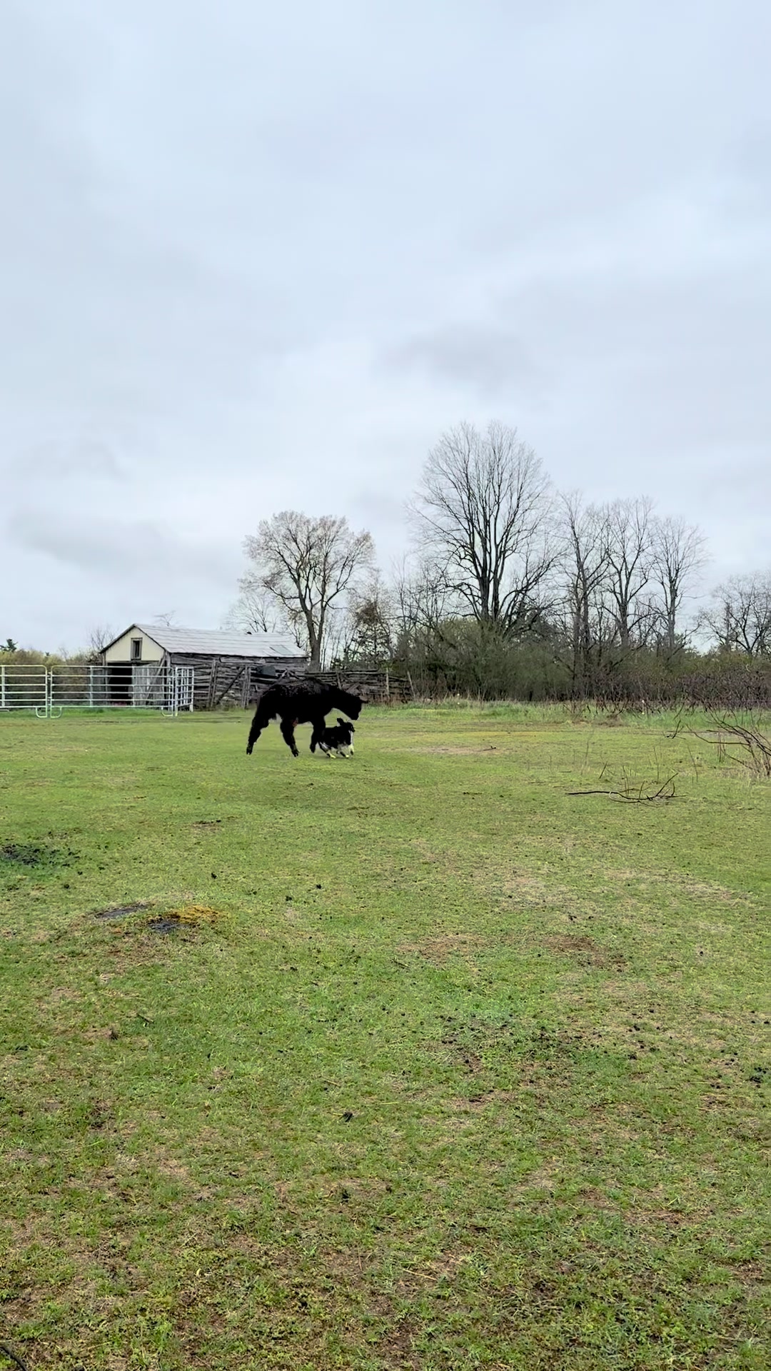 @Useless Farm