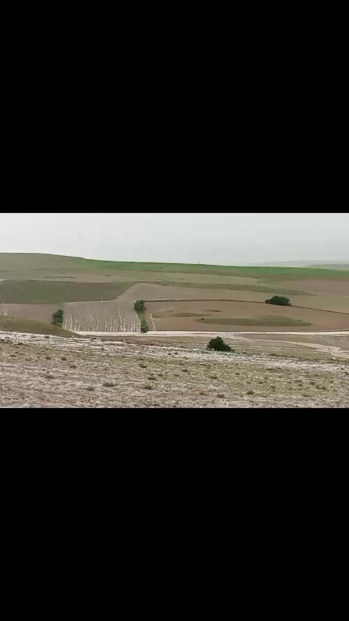 @İbrahim Kılıç