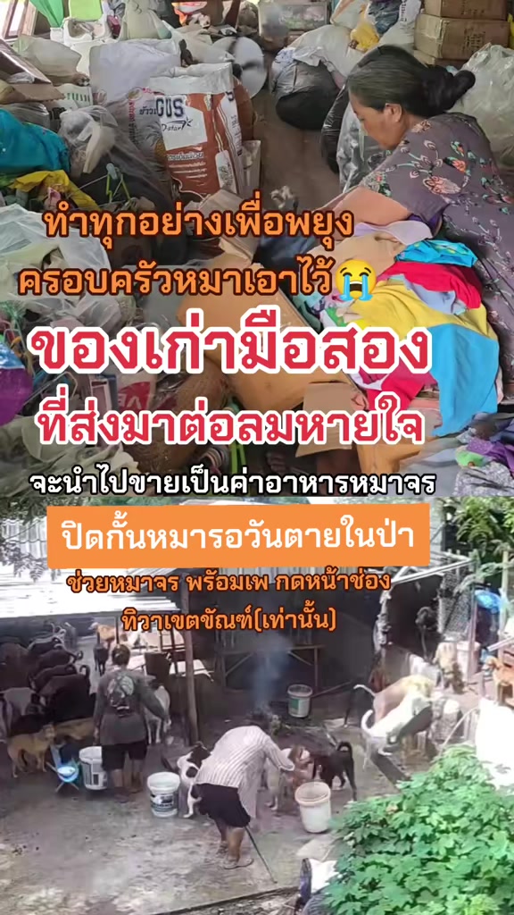 @๐๘๖๑๔o๘๓๙๖ทิวาเขตขัณฑ์