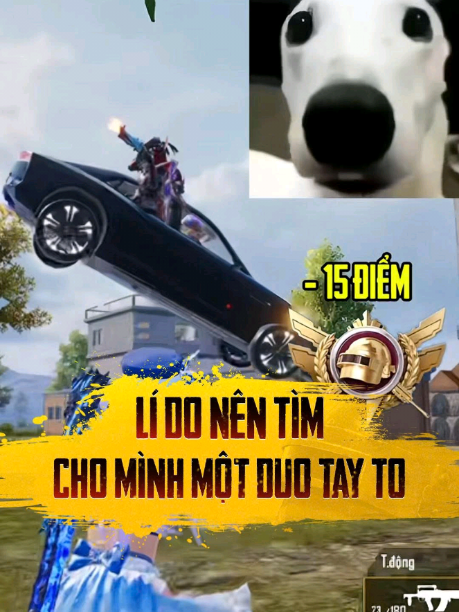 @PUBG Mobile VN