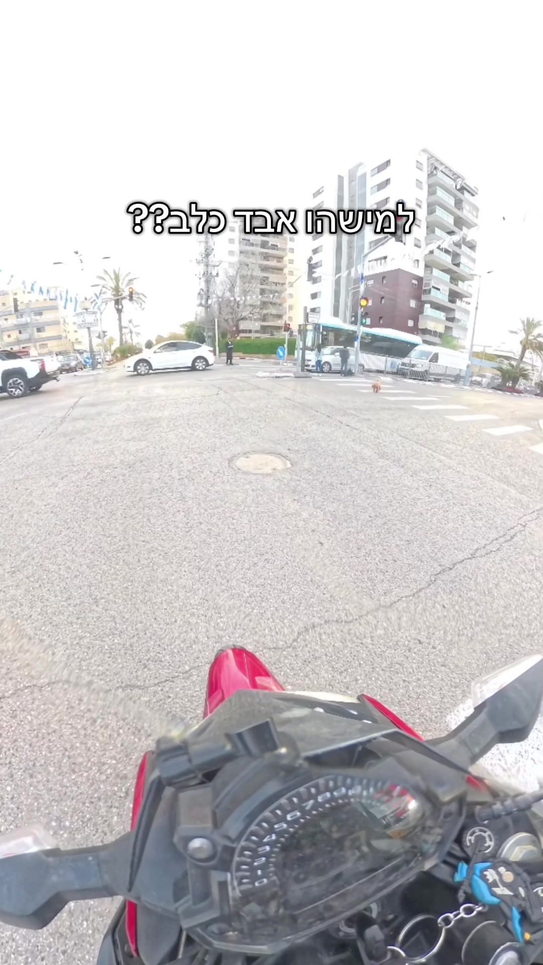 @🛵QueeN🏍️