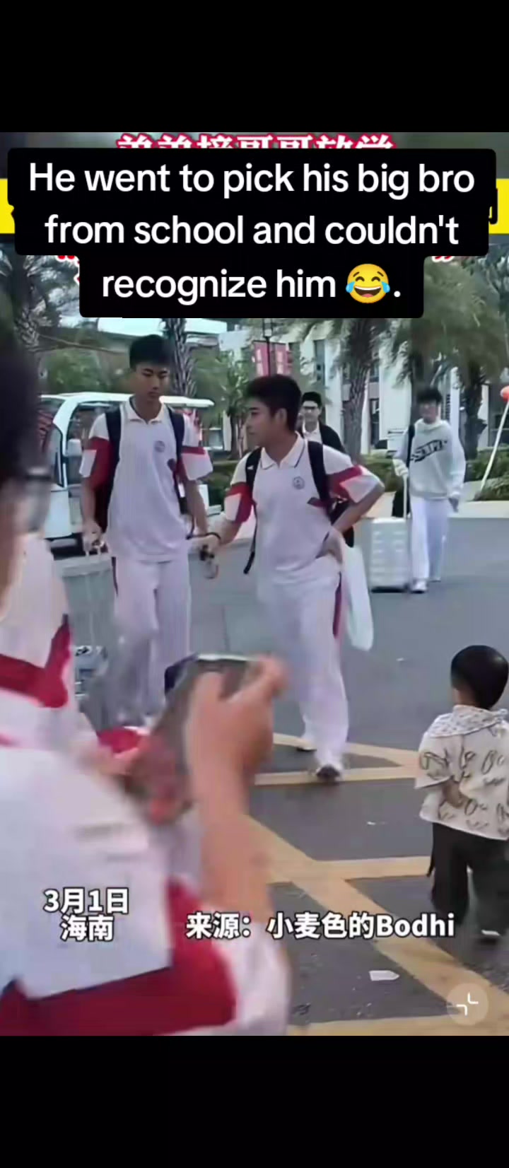 @晨 Cheng
