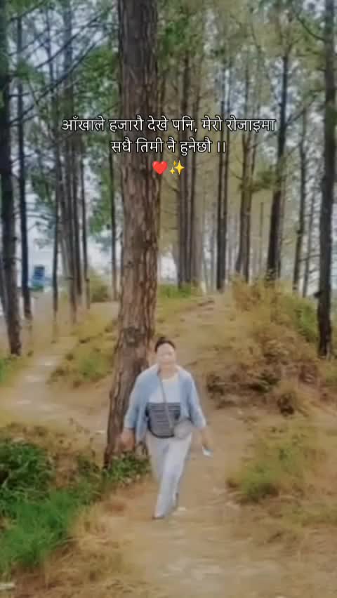 @gaming 4040