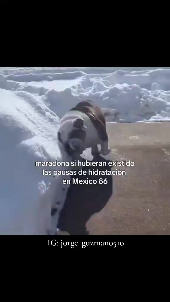 @Jorge Guzm&aacute;n