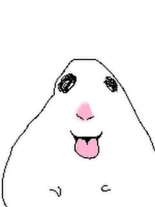 @sanity