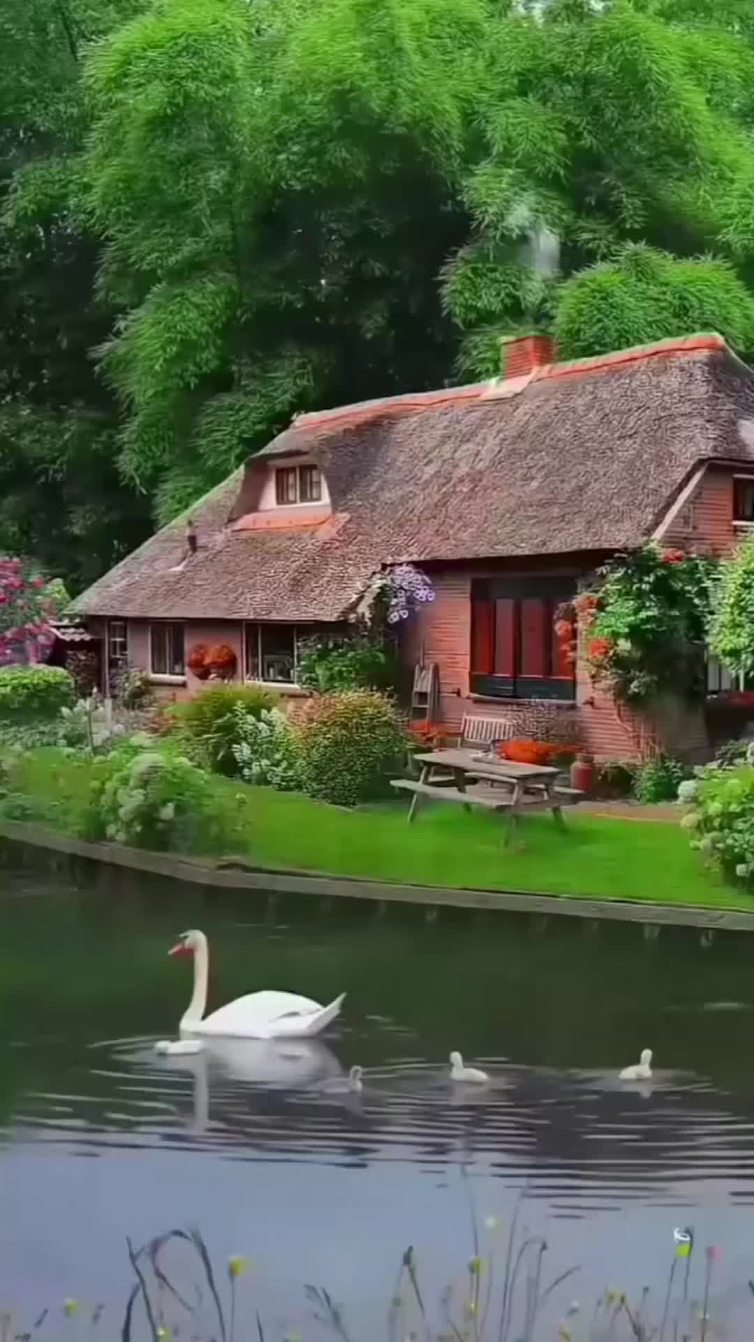 @DailyMindsetFuel
