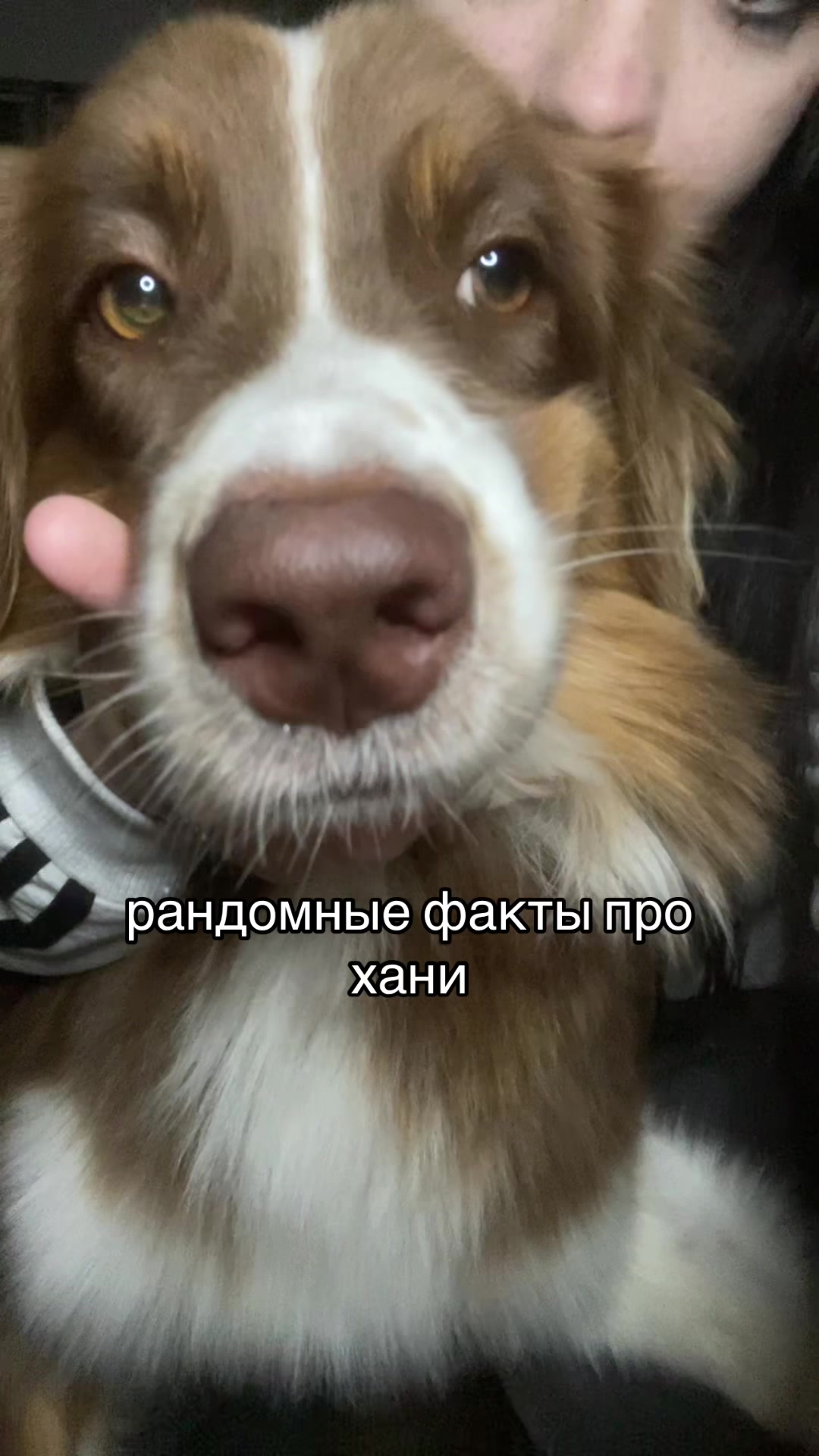 @тгк - m0rozovka