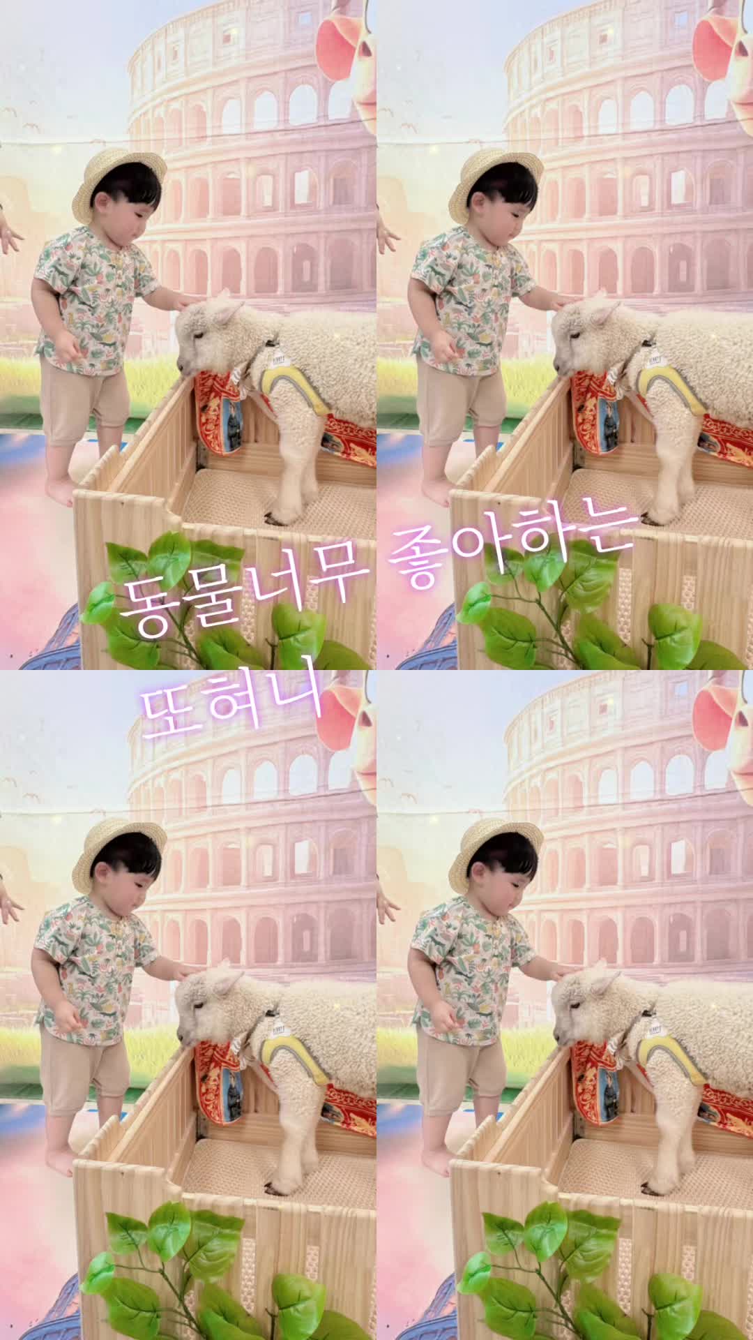 @๐์นดโข๋ผ๐