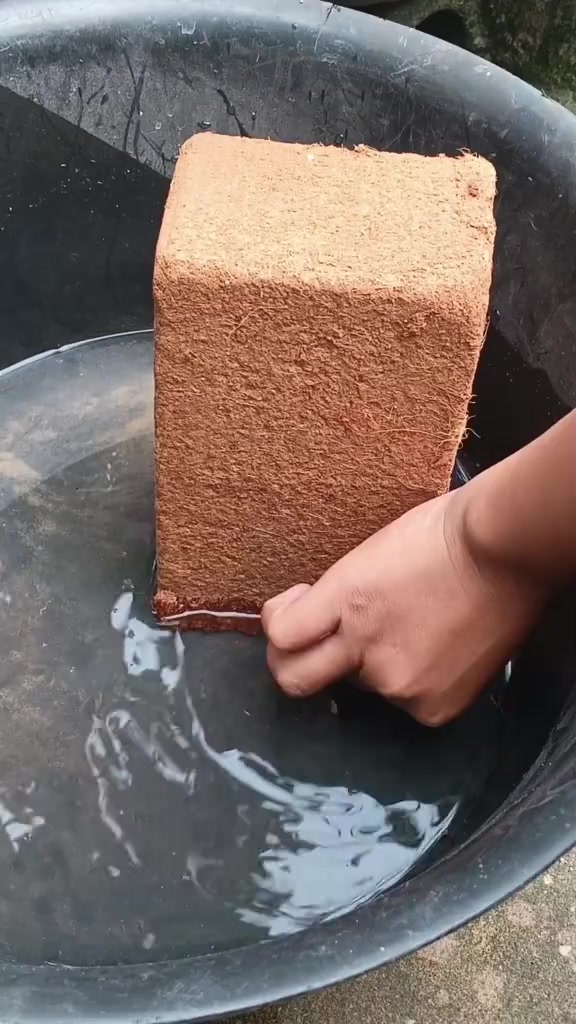 @susmawaati