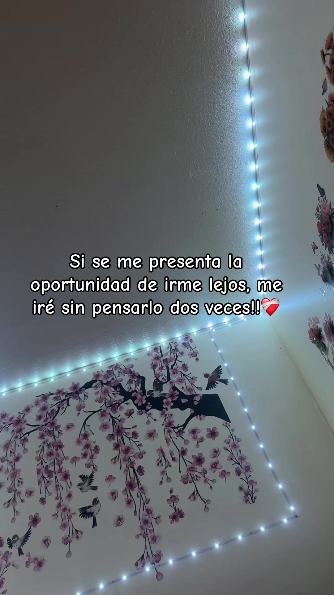 @Echeverria