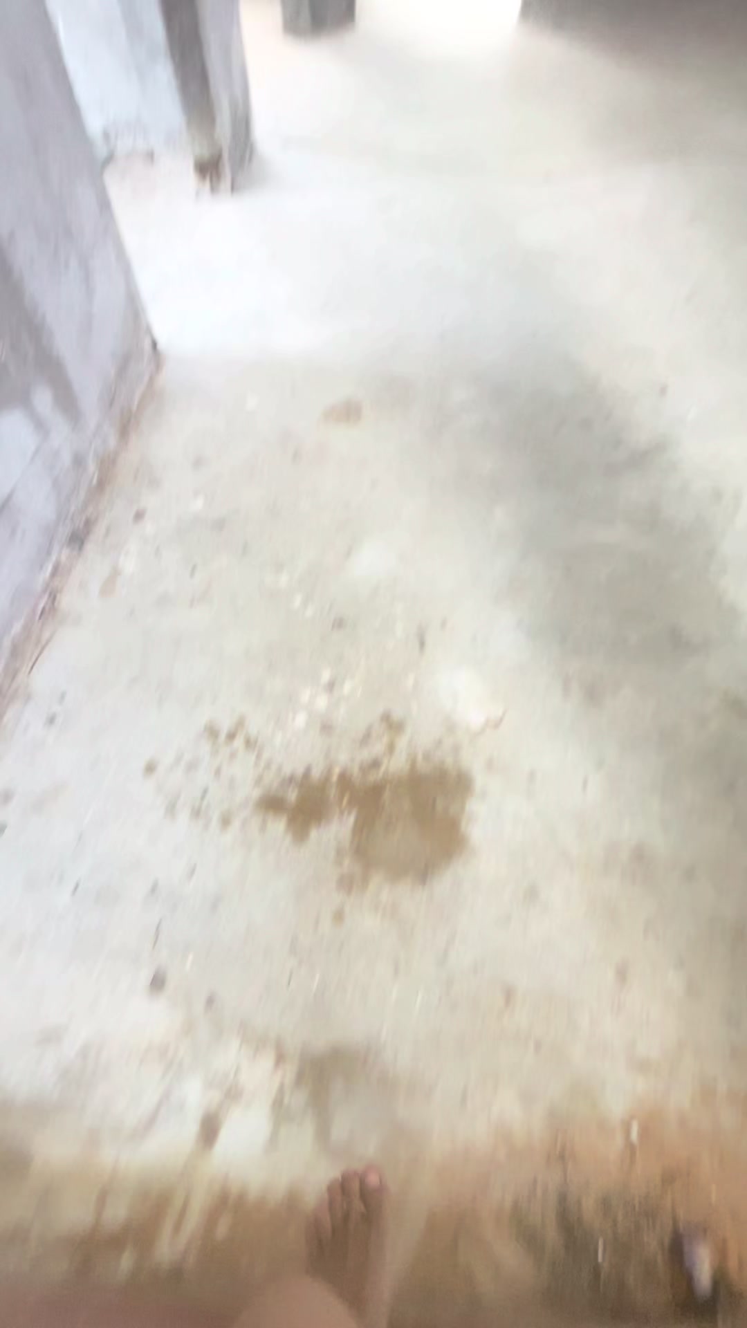 @rat.phearom4
