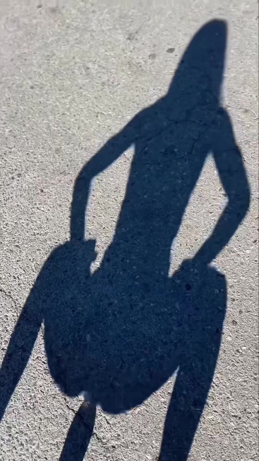 @lthnh0606