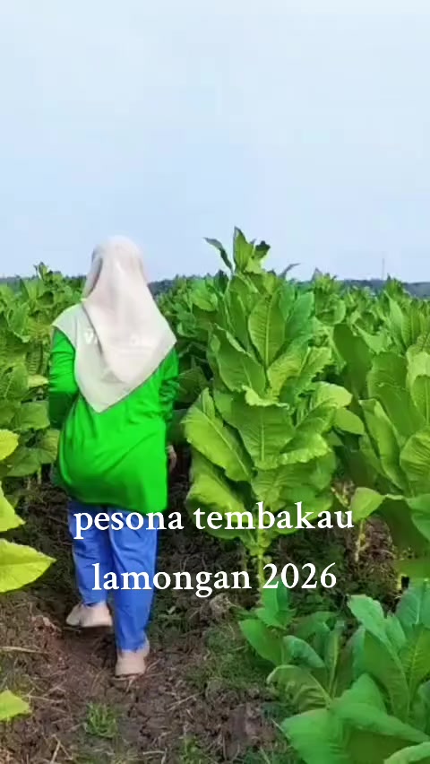 @R.RESTU