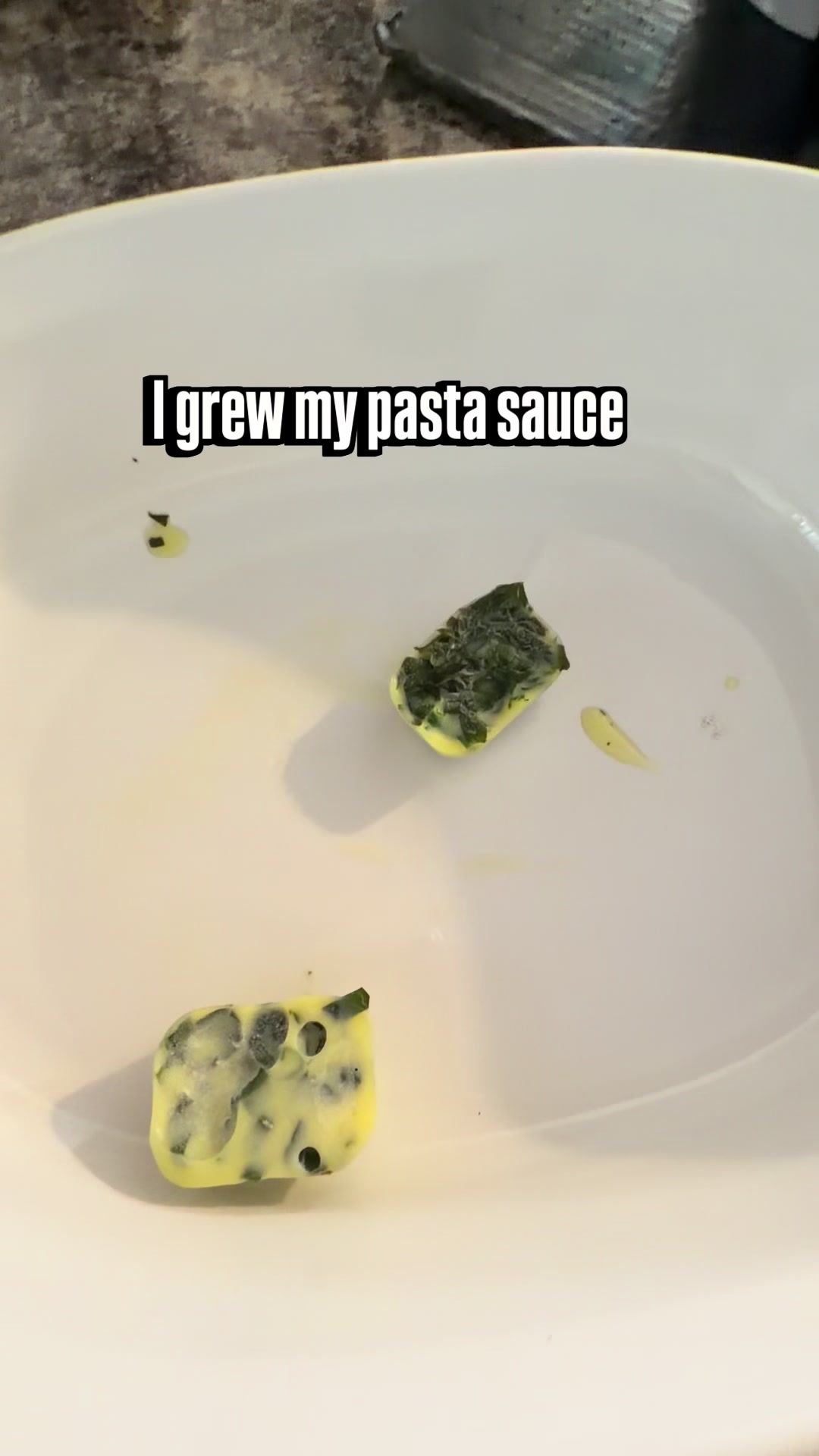 @Pothosiblyaboutplants