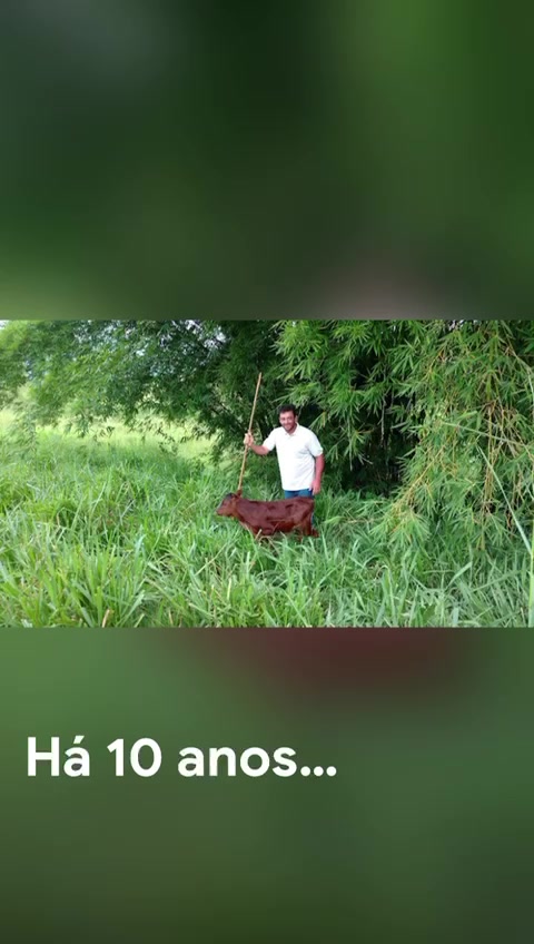 @MarcosSilverio71