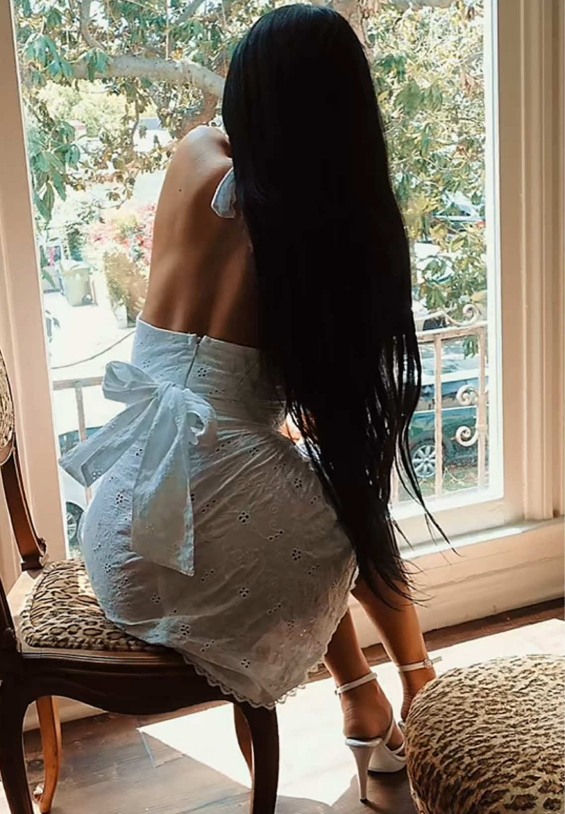 @𝒮mitten_𝒦itten_xoxoఌ