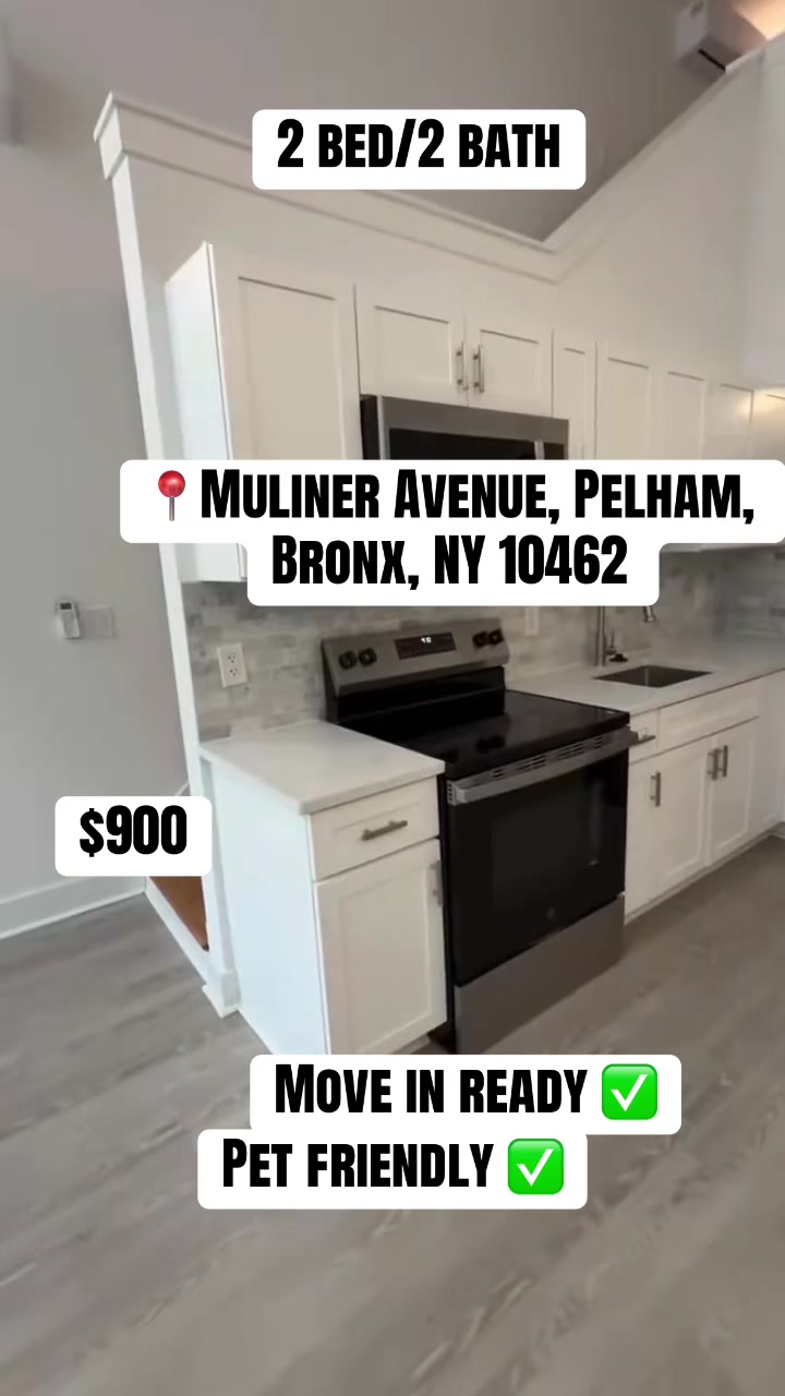 @Daily Rental Finds