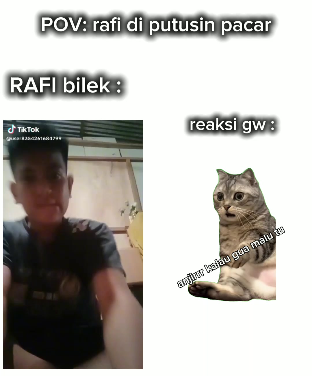 @𝙕𝙖𝙣𝙭𝙭 || 𝘾f