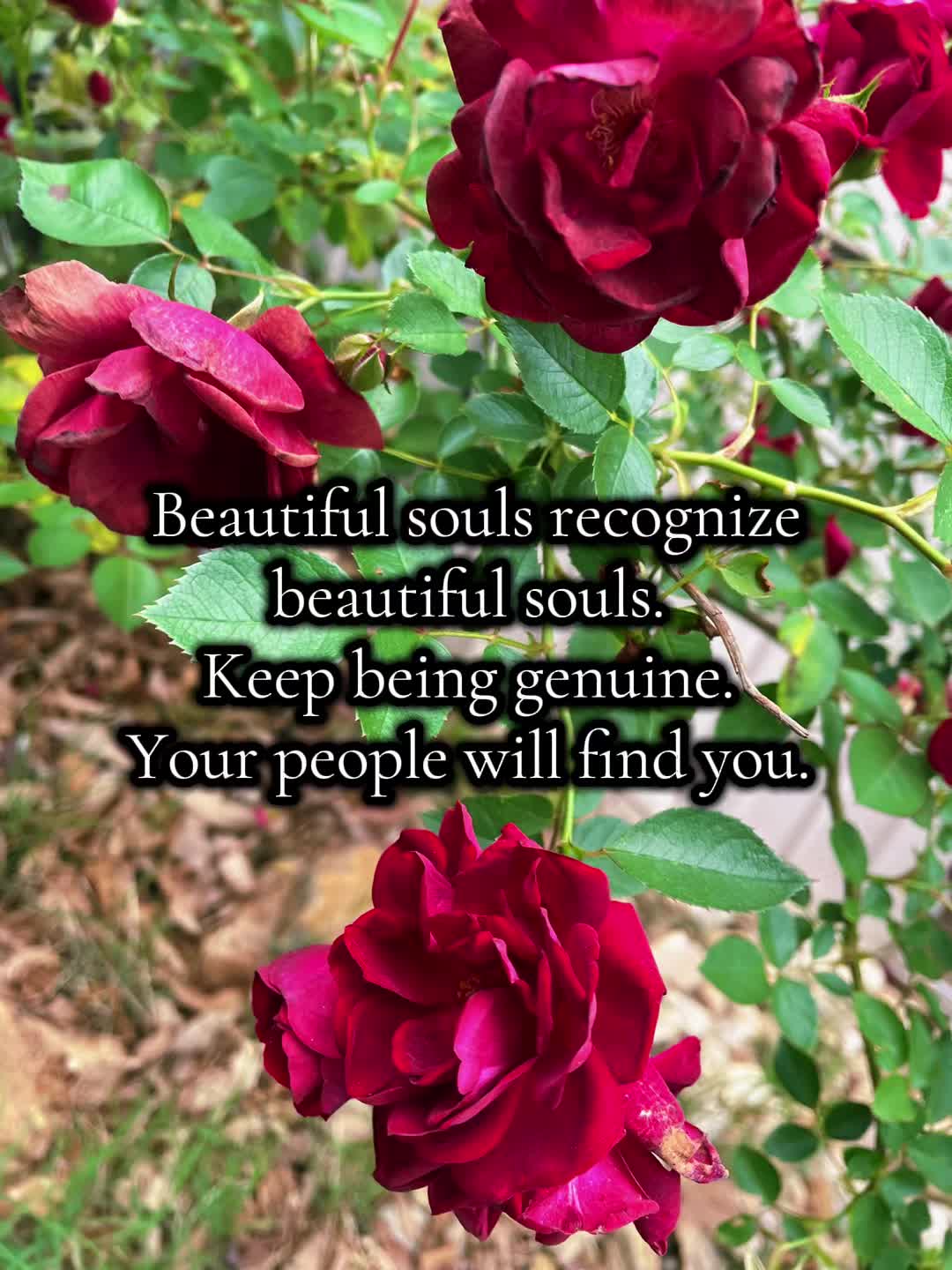 @Well Watered Heart