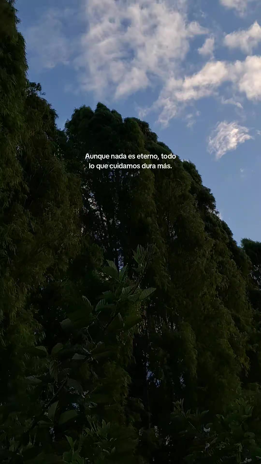@𝑭𝒆𝒆𝒓 🌸