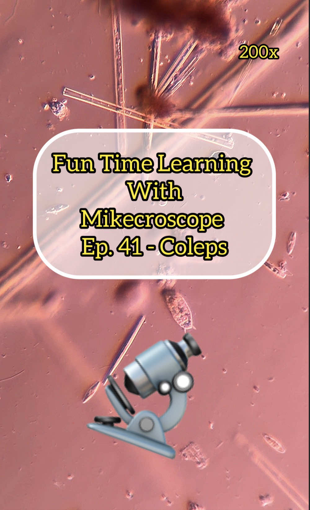 @Mikecroscope