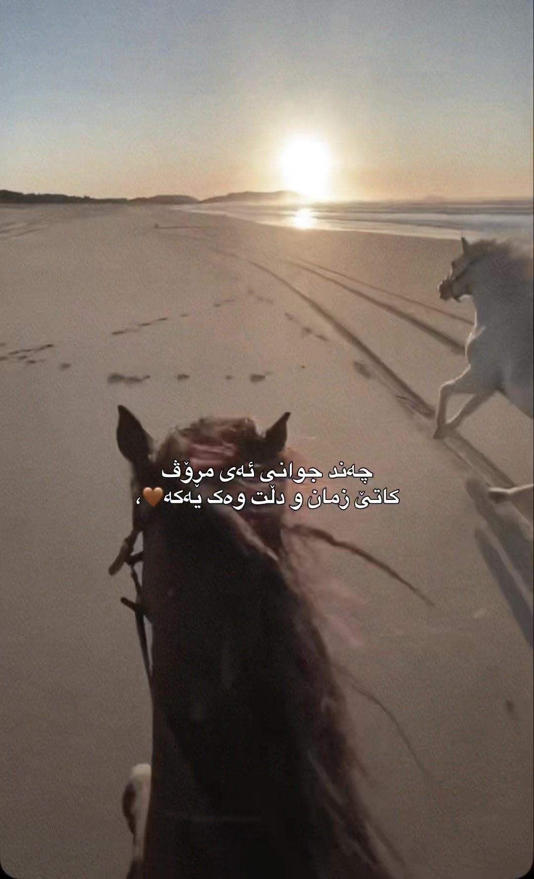 @Sahar