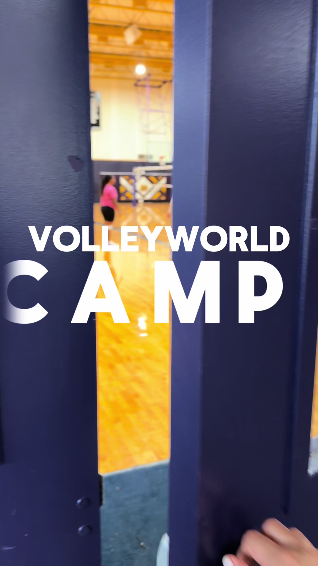 @volleyworld.org