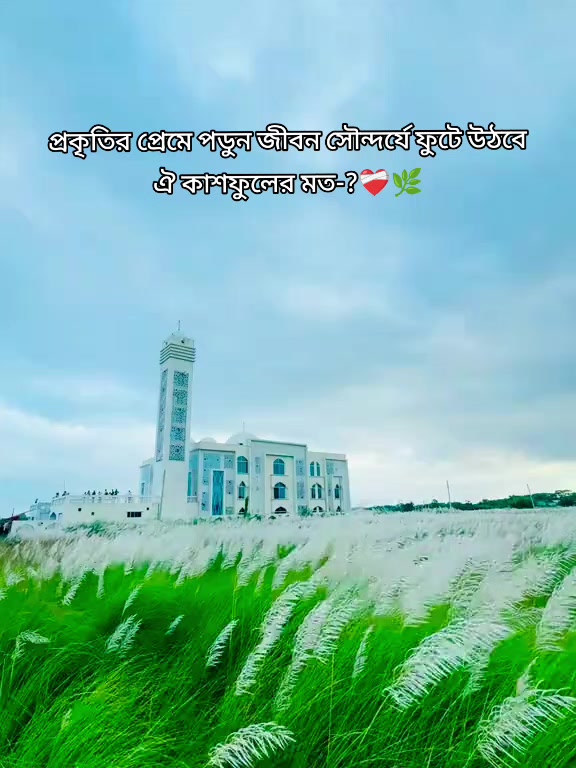 @༅༎ ⊱ ༅Alex_Babu Uky༅༎ ༅༎ ⊱ ༅༎