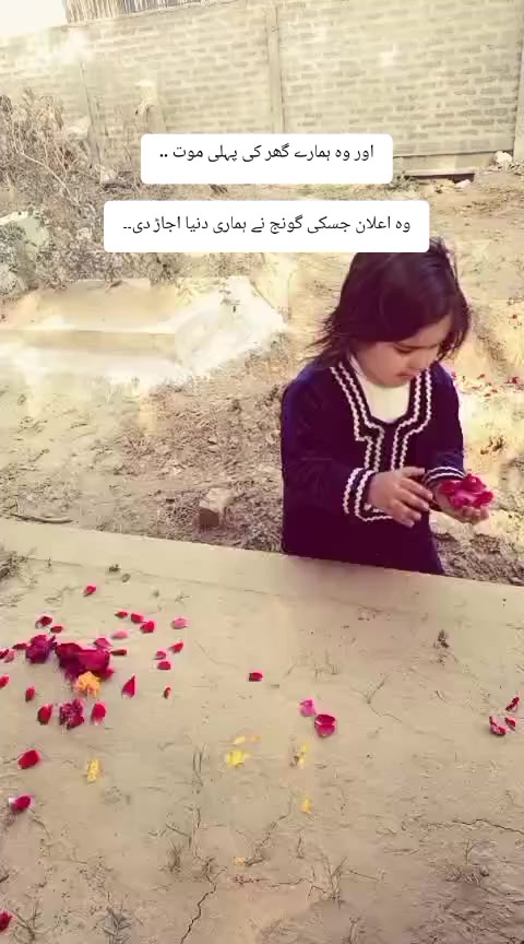 @Zeenou Khan