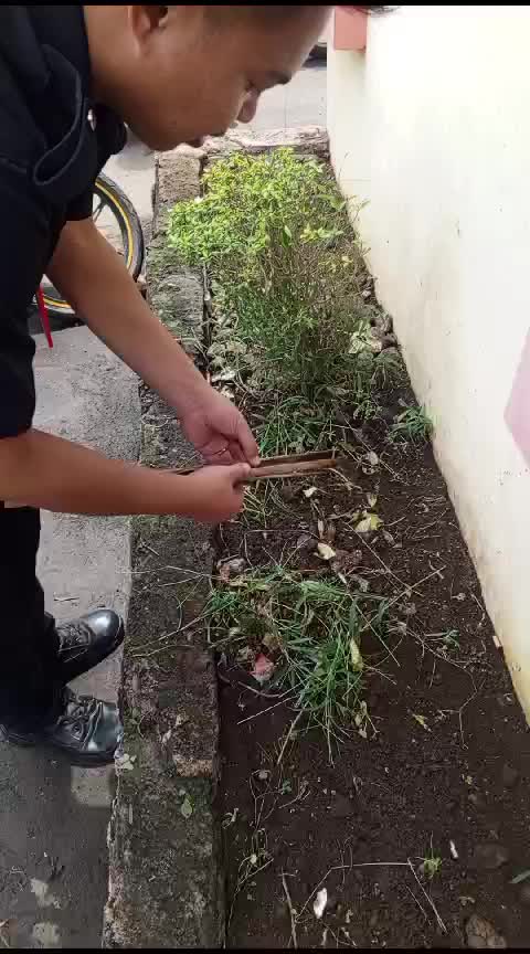 @_OM2 Pebiii_