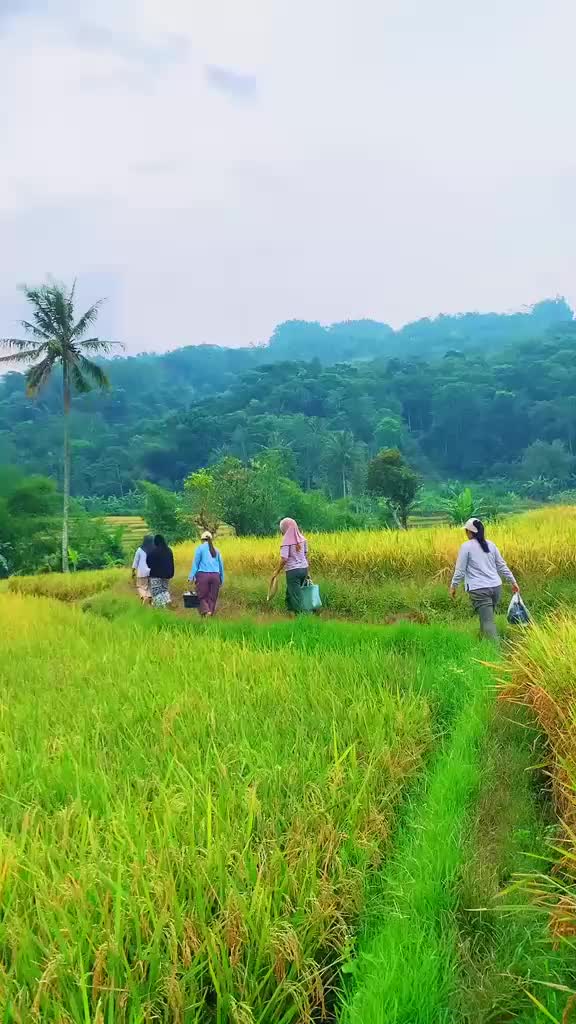 @de.naz25
