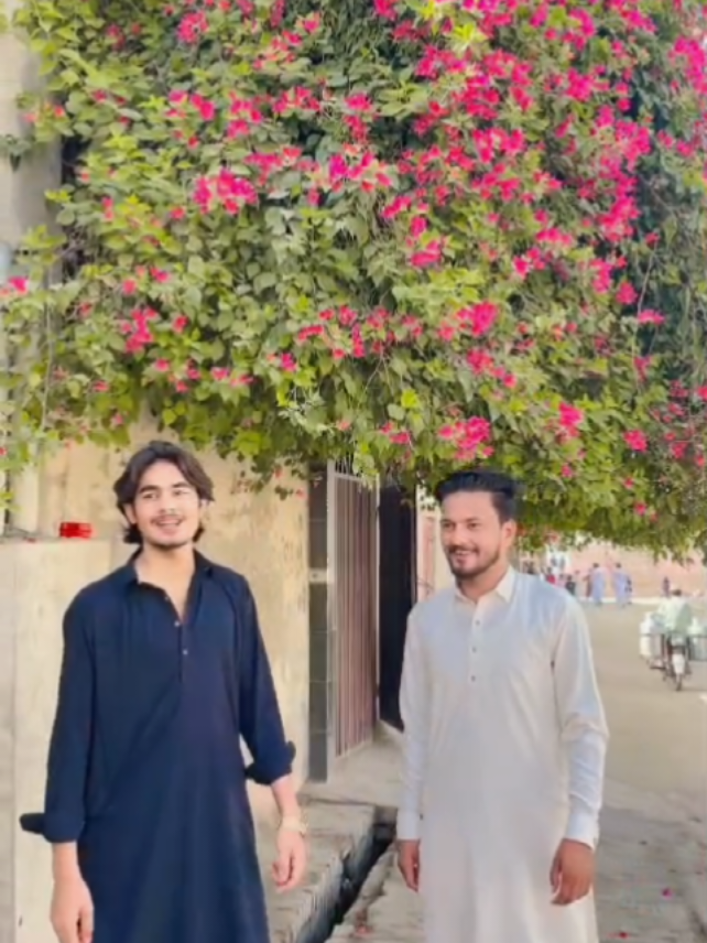 @👑سید~شاہ