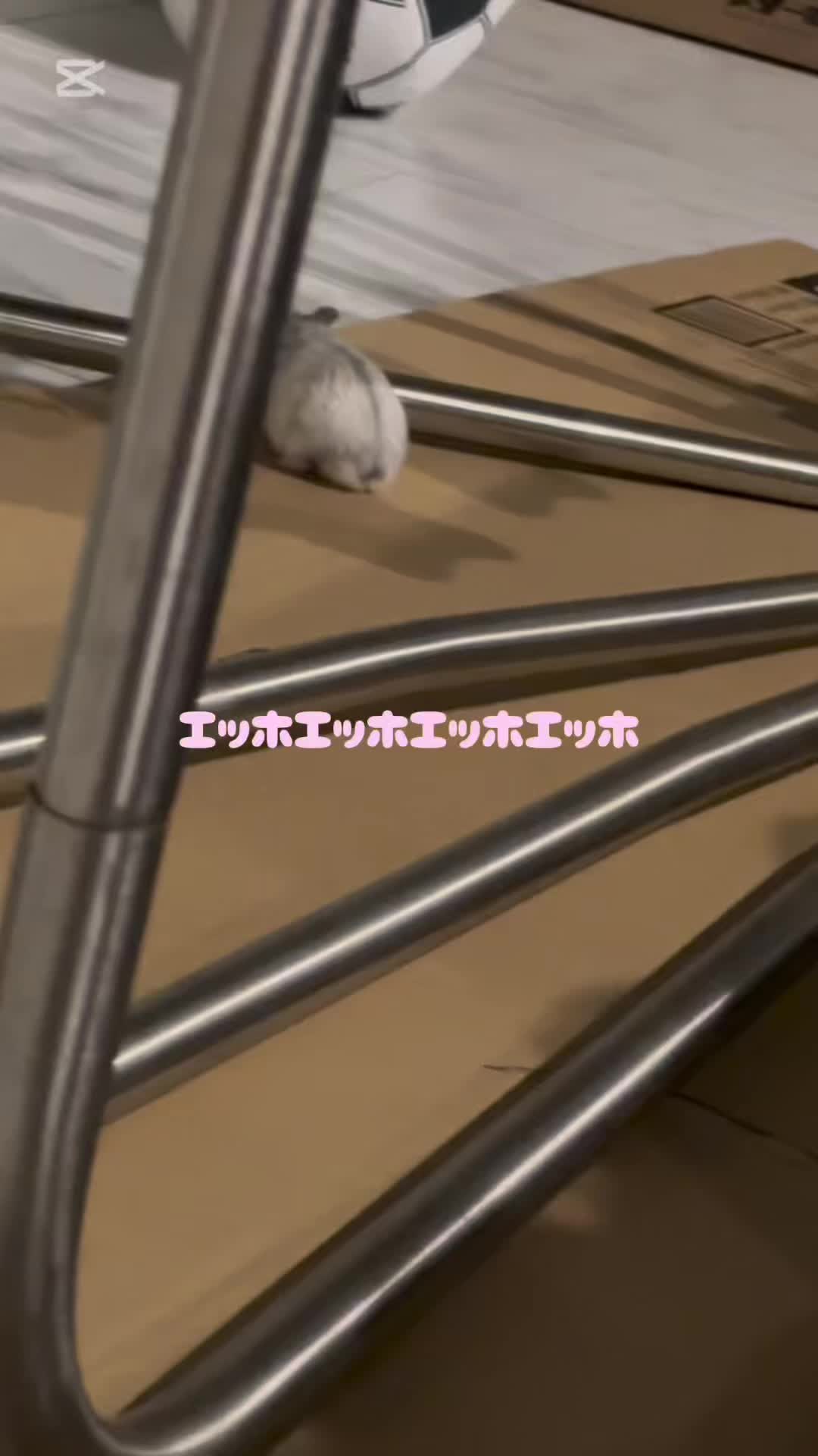 @愛恋