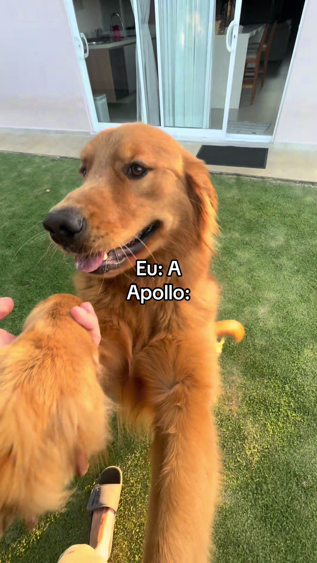 @André Luiz