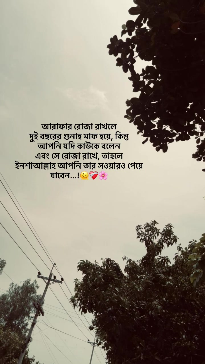 @ᴢꫝʜɪᴅ ••••••