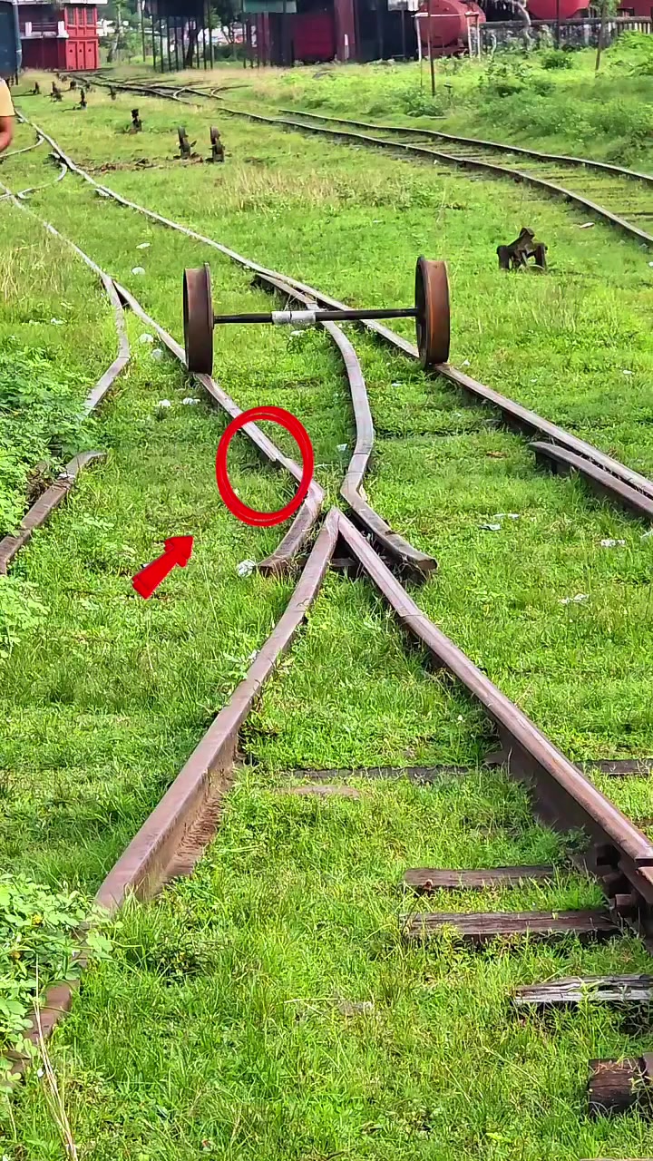 @KENYAN RAILROADER🇰🇪