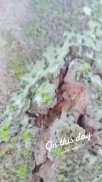 @user90365815754