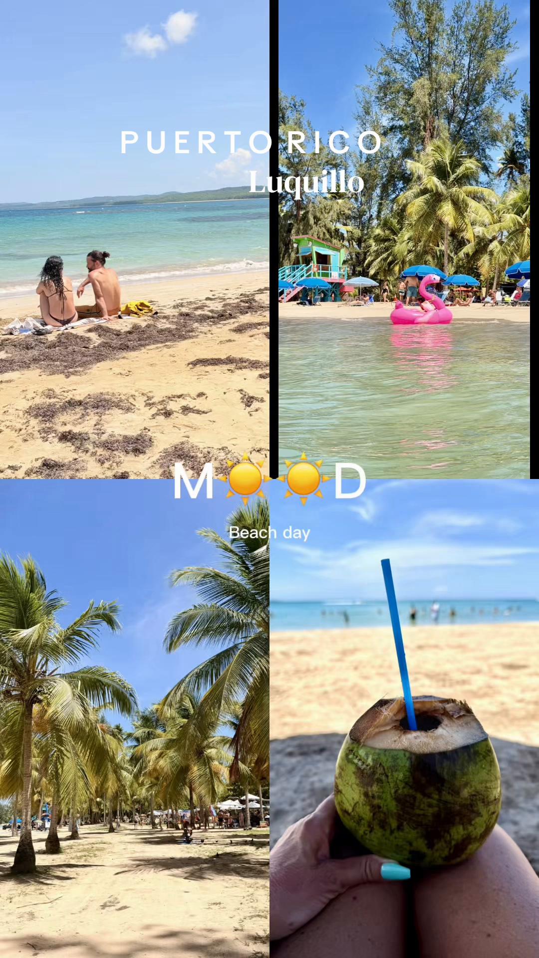 @𝑔𝒾𝑔𝒾@𝓉𝒽ℯ𝒷ℯ𝒶𝒸𝒽🐚