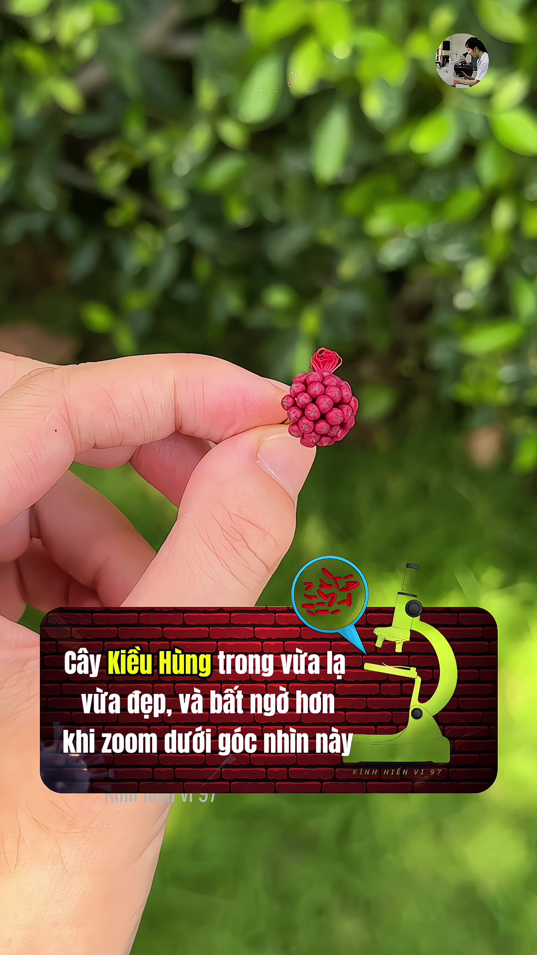 @Kinhhienvi97