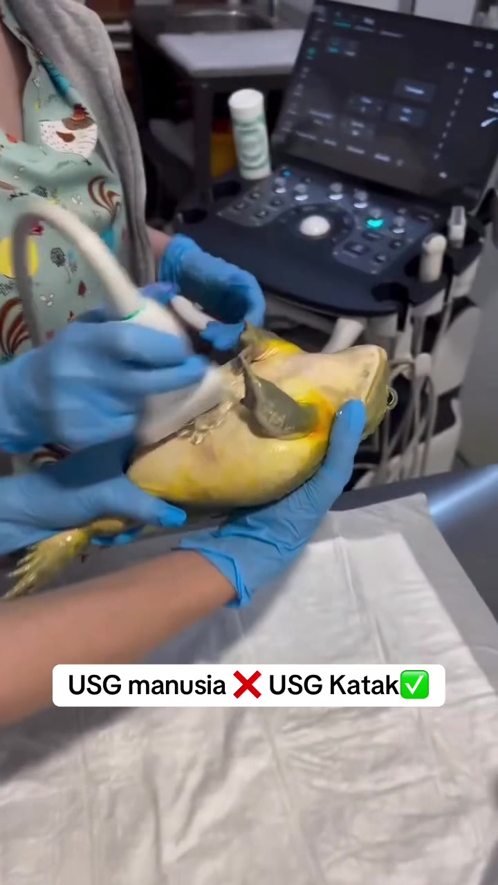 @Sobat Radiology